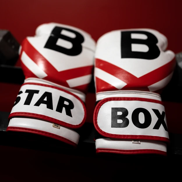 White Boxstar Boxing Gloves